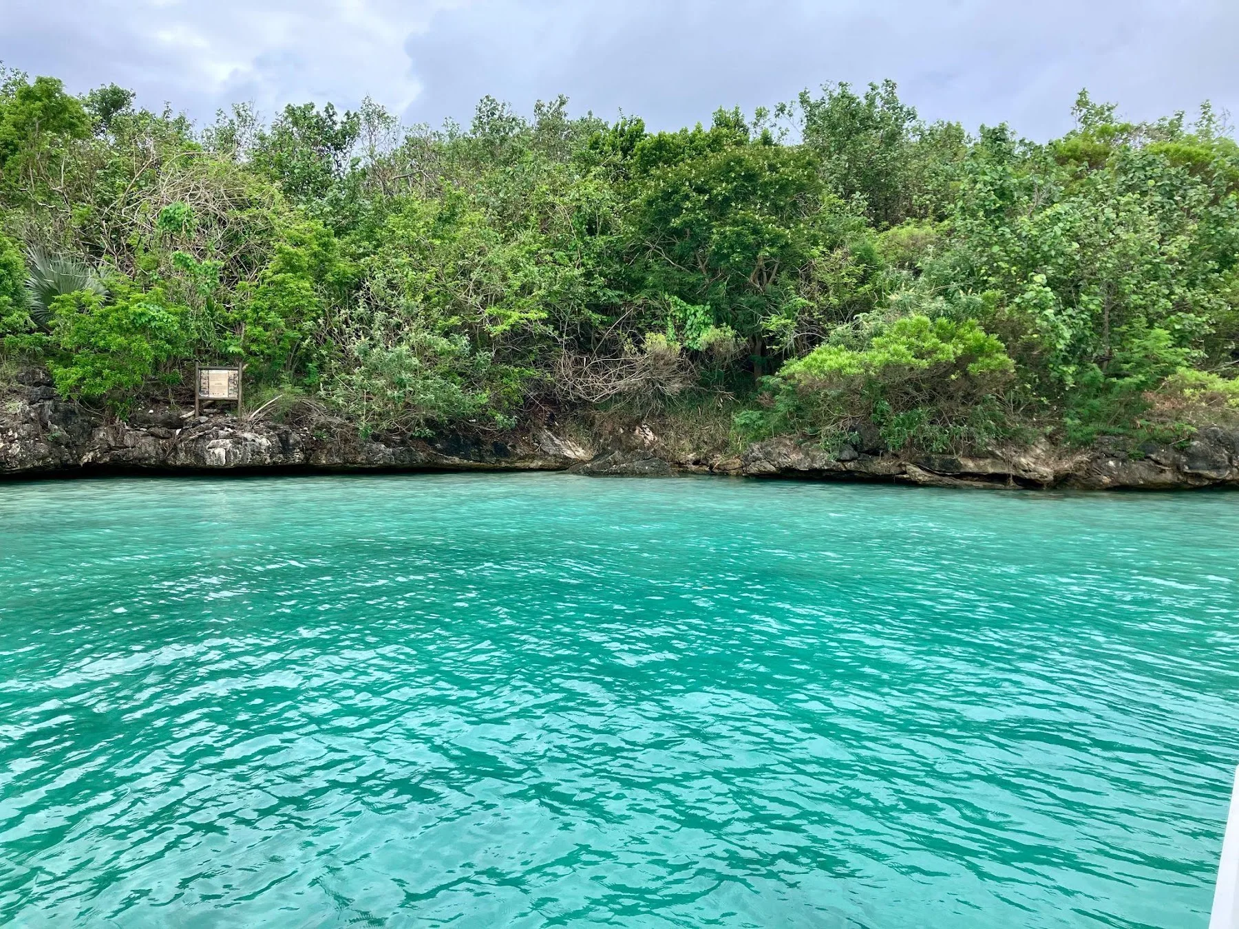 Turquoise water beside a tree-covered rocky shoreline